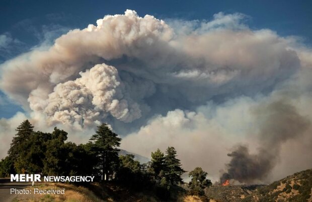 آتش‌سوزی در جنگل‌های جنوب کالیفرنیا و تخلیه ساکنان