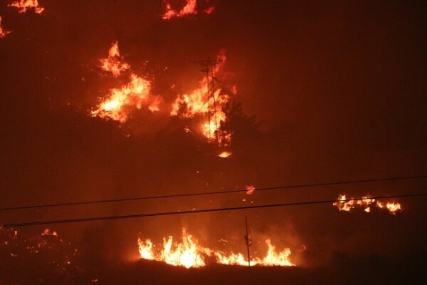 İzmir'deki orman yangınında boşaltılan bir site yandı