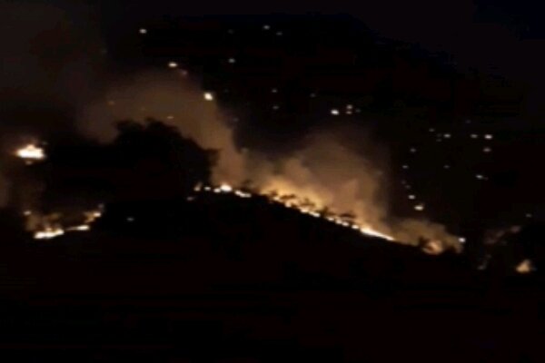آتش در میان جنگل های شهرستان گچساران زبانه می کشد