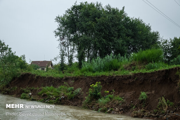 خسارات سیل به شالیزار های رشت و رودسر