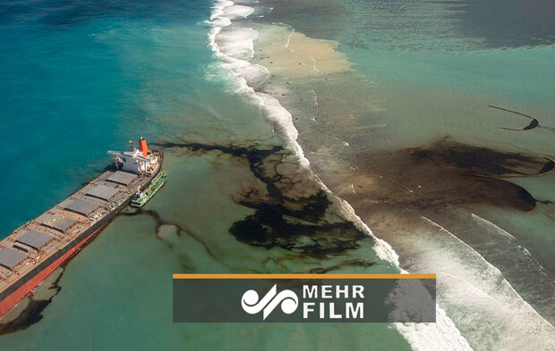 VIDEO: Mauritius oil spill in Indian Ocean