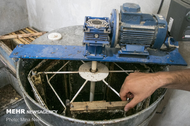 Honey extraction in Daryan
