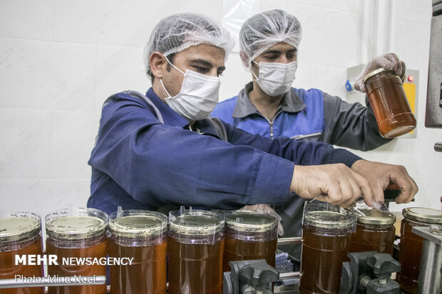 Honey extraction in Daryan
