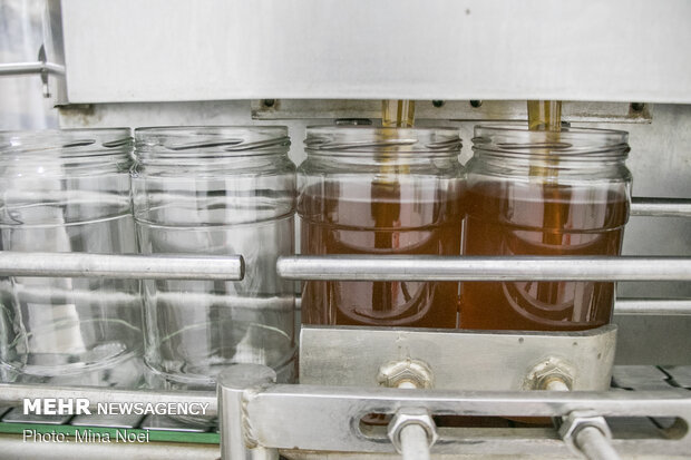 صادرات ۲۰۰ تنی عسل خوانسار به خارج کشور