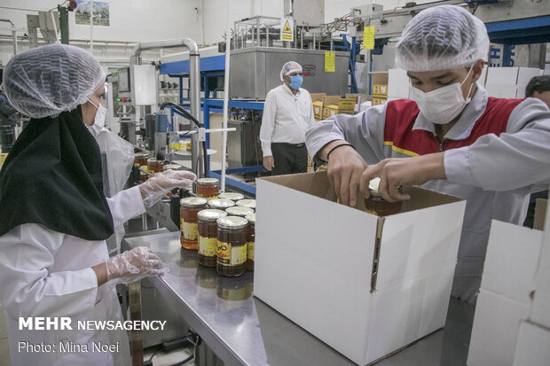 Honey extraction in Daryan
