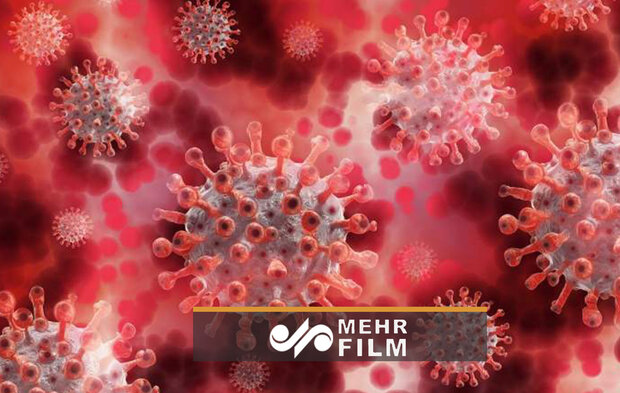 تصاویر میکروسکوپی از ویروس کرونا روی ماسک‌ها
