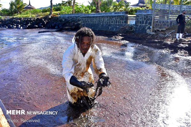 بحران زیست محیطی در جزیره موریس