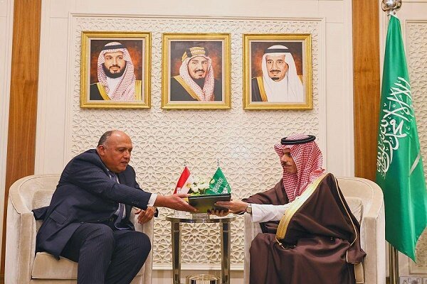 وزرای خارجه مصر و عربستان دیدار کردند