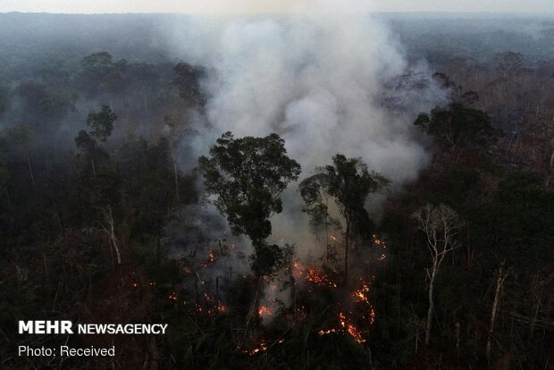 آتش سوزی در جنگل‌های آمازون