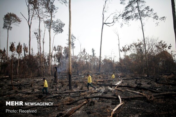 آتش سوزی در جنگل‌های آمازون