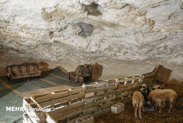زندگی خانواده فلسطینی در غار