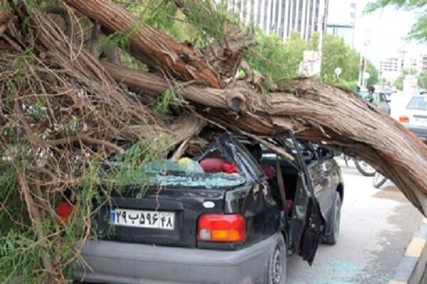 ۳۰ اصله درخت در اصفهان شکست/۵ خودرو واژگون شد