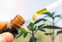 ادوية نباتية ایرانیة لتخفيف اثار فيروس كورونا