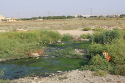 آزادسازی ۲۰ هزار متر مربع از اراضی بستر رودخانه مرجی خانی