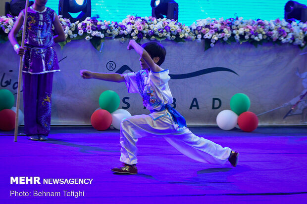 Iran marks 'World Wushu-Kungfu Day'
