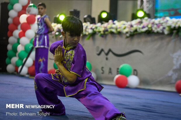 Iran marks 'World Wushu-Kungfu Day'
