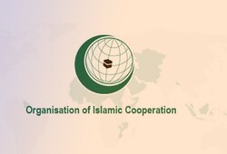 Parl. speaker appoints Iran’s representative in PUIC