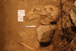 کشف ۴ گور باستانی در خانه‌های روستایی