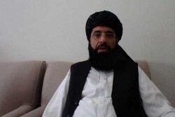مذاکره با کابل مشروط به آزادی زندانیان طالبان است