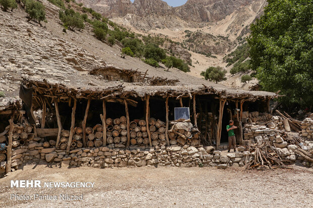 یکی از منازل مسکونی روستا- این خانه مش بردی، نگهبان روستا است. او به شیوه کاملا سنتی زنبورداری می کند. کندوهای او از تنه درختان ساخته شده اند و از زمان پدر او برجای مانده اند.