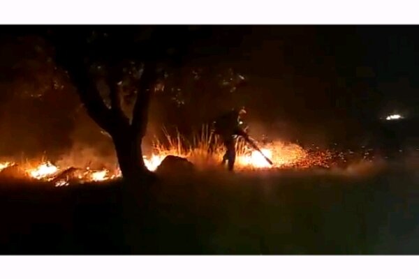 شعله های بی امان آتش قلب جنگل های کهگیلویه و بویراحمد را درنوردید