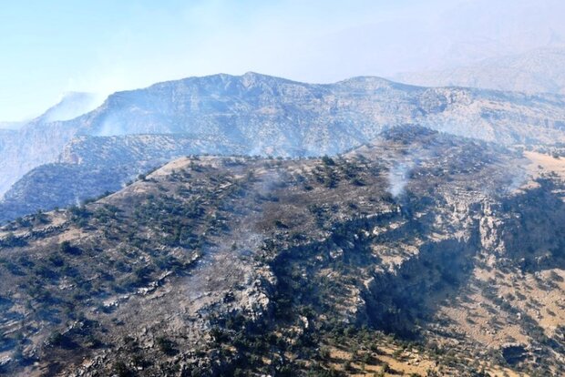 آتش در کوههای نیر شهرستان بویراحمد کنترل شد/حضور ۴۰۰نیرو در منطقه