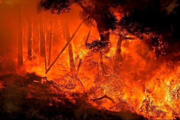 امریکی ریاست کیلی فورنیا کے جنگلات میں لگی آگ بے قابو ہوگئی