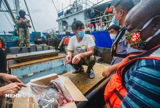 تصاویر منتخب حیات وحش هفته‎