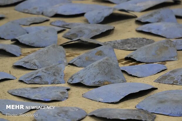 تصاویر منتخب حیات وحش هفته‎