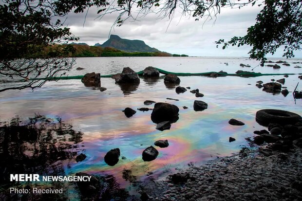 تصاویر منتخب حیات وحش هفته‎