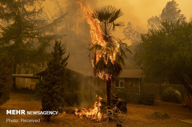 Californiya'daki orman yangınları durmuyor