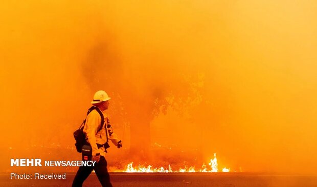 Californiya'daki orman yangınları durmuyor