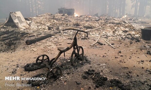 Californiya'daki orman yangınları durmuyor