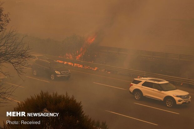 Californiya'daki orman yangınları durmuyor