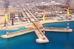 SP gas condensate production vol. up 87%: CEO