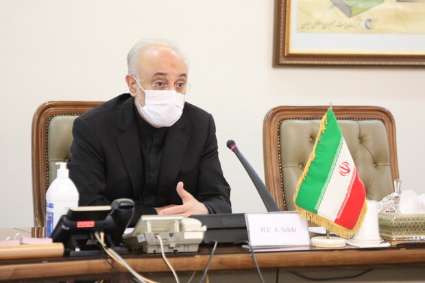 AEOI chief warns of any anti-Iran resolution by IAEA Board