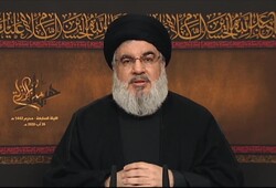 Hezbollah chief salutes resistance members, their families