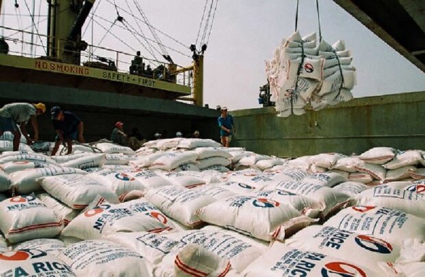توزیع برنج وارداتی، بازار را به ثبات می‌رساند