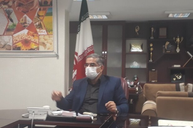 مازندران نیازمند ۴۸۰ هزار تن گندم در سال است