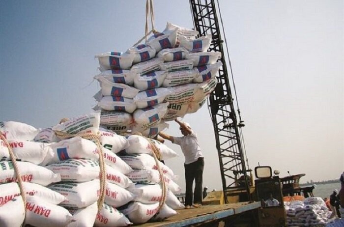 دولت زمان ومقدار واردات برنج خارجی را مدیریت کند