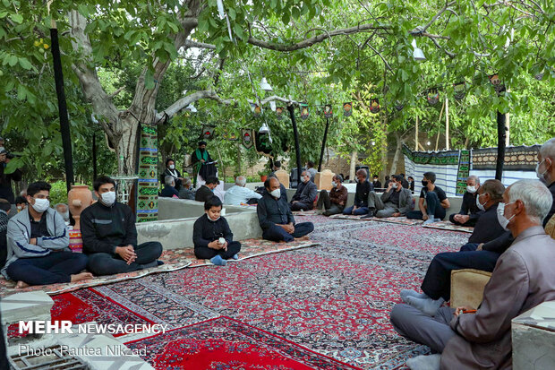 ‎روضه رضوان