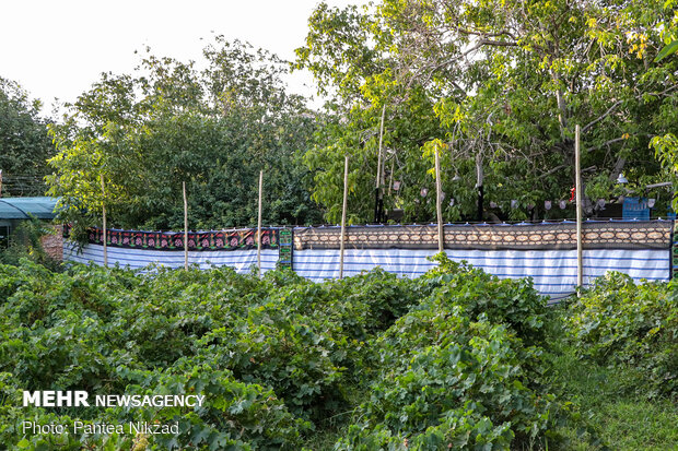 ‎روضه رضوان