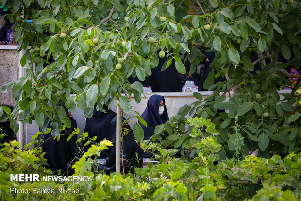 ‎روضه رضوان