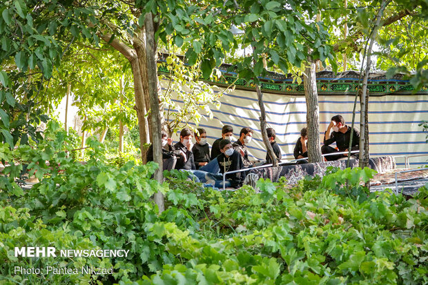 ‎روضه رضوان