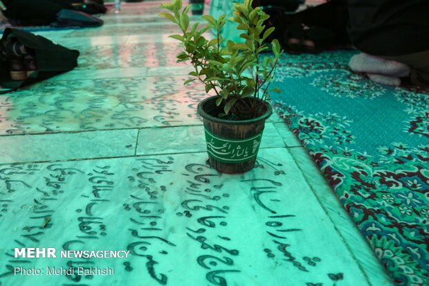 Holding mourning ceremonies near martyrs’ tomb