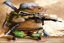 جنود الكيان الصهيوني يختبئون مثل الفئران