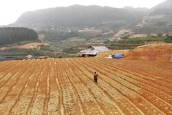 FAO urges fight against hunger,climate change in Asia-Pacific
