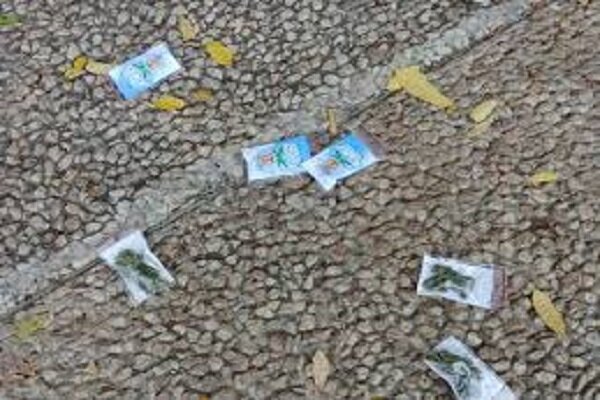 VIDEO: Drone drops dozen bags of marijuana over Tel Aviv sky