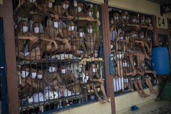 زندان مخوف «السالوادور» در شرایط کرونایی