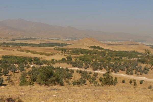 جذب سرمایه‌گذاربومی برای احداث بوستان فرامنطقه‌ای اکباتان درهمدان